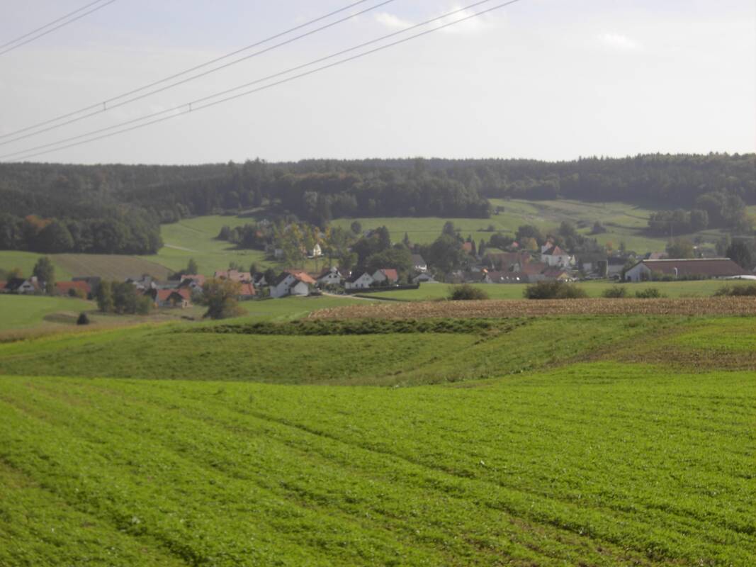 Waldberg