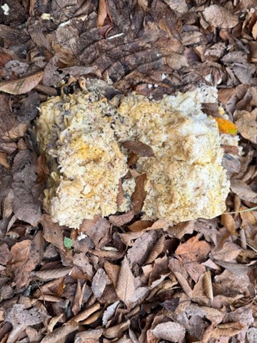 Parkplatz an der Jahnhalle